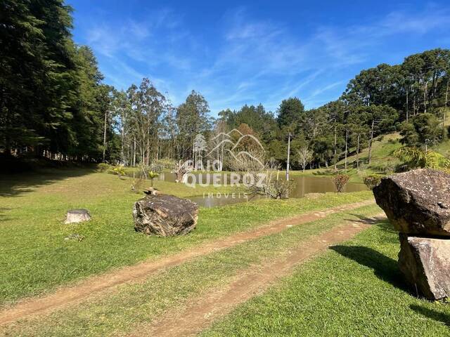 #1713 - Sítio para Venda em Sapucaí-Mirim - MG