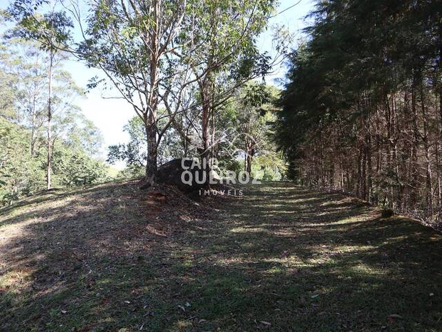 #1614 - Terreno Rural para Venda em São José dos Campos - SP - 1