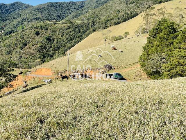 Terreno Rural para Venda em São José dos Campos - 2