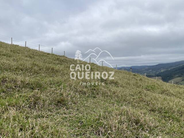 Terreno Rural para Venda em São José dos Campos - 2