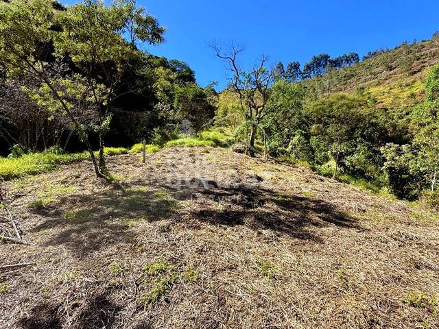Terreno Rural para Venda em São José dos Campos - 5
